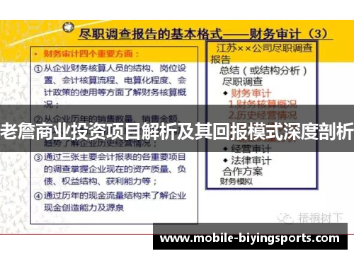 老詹商业投资项目解析及其回报模式深度剖析 老詹商业投资项目解析及其回报模式深度剖析