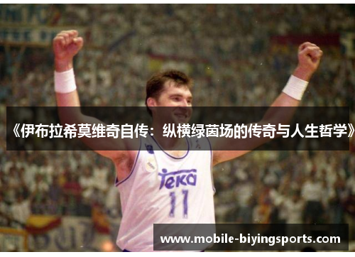 《伊布拉希莫维奇自传:纵横绿茵场的传奇与人生哲学》 《伊布拉希莫维奇自传:纵横绿茵场的传奇与人生哲学》