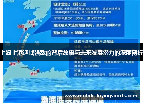 上海上港迎战强敌的背后故事与未来发展潜力的深度剖析