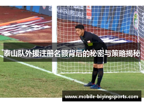 泰山队外援注册名额背后的秘密与策略揭秘