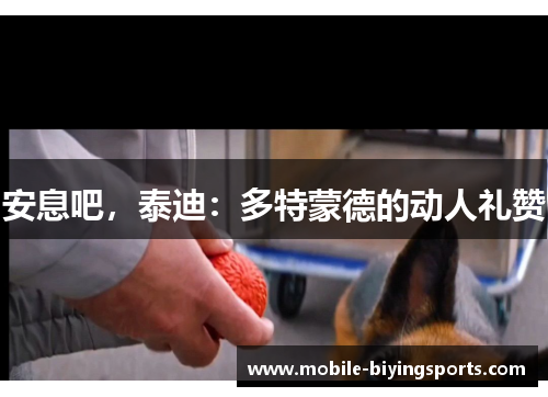 安息吧,泰迪:多特蒙德的动人礼赞 安息吧,泰迪:多特蒙德的动人礼赞