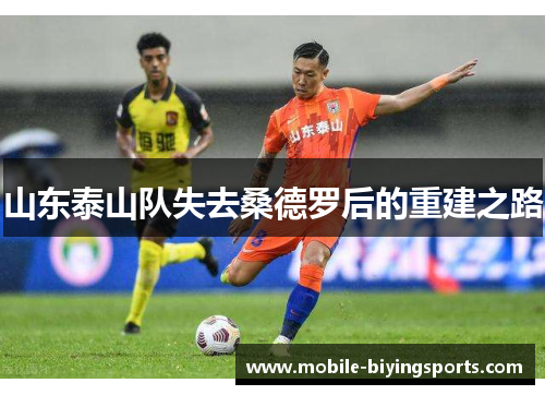 山东泰山队失去桑德罗后的重建之路 山东泰山队失去桑德罗后的重建之路