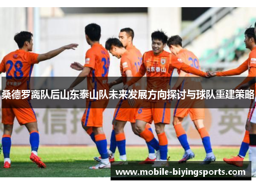 桑德罗离队后山东泰山队未来发展方向探讨与球队重建策略 桑德罗离队后山东泰山队未来发展方向探讨与球队重建策略