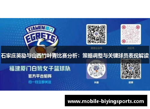 石家庄英励与山西竹叶青比赛分析：策略调整与关键球员表现解读