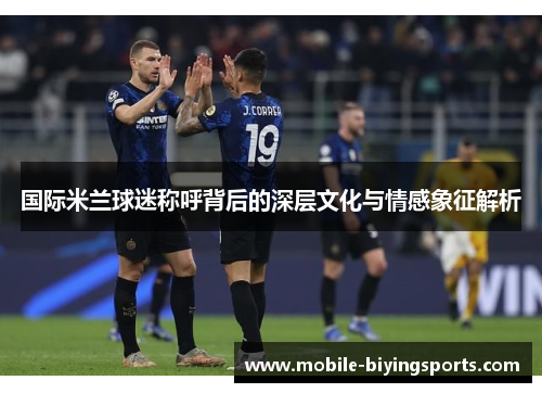 国际米兰球迷称呼背后的深层文化与情感象征解析 国际米兰球迷称呼背后的深层文化与情感象征解析