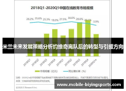 米兰未来发展策略分析约维奇离队后的转型与引援方向 米兰未来发展策略分析约维奇离队后的转型与引援方向