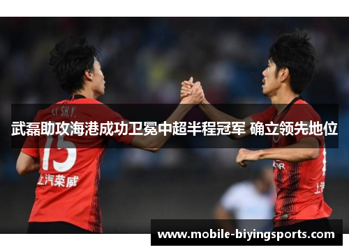 武磊助攻海港成功卫冕中超半程冠军 确立领先地位 武磊助攻海港成功卫冕中超半程冠军 确立领先地位