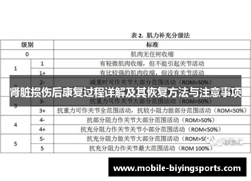 肾脏损伤后康复过程详解及其恢复方法与注意事项