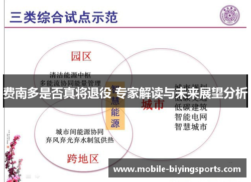费南多是否真将退役 专家解读与未来展望分析 费南多是否真将退役 专家解读与未来展望分析