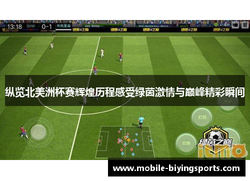 纵览北美洲杯赛辉煌历程感受绿茵激情与巅峰精彩瞬间 纵览北美洲杯赛辉煌历程感受绿茵激情与巅峰精彩瞬间