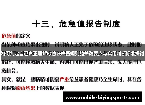 如何判定自己真正理解欧协联决赛规则的关键要点与实用判断标准探讨 如何判定自己真正理解欧协联决赛规则的关键要点与实用判断标准探讨